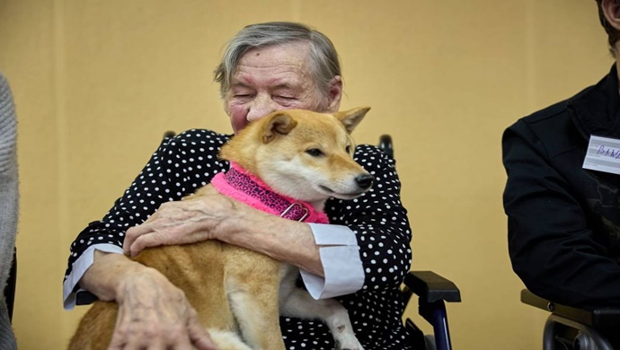 При поддержке «Единой России» в деревне Смоленской области для пенсионеров организовали терапевтическое занятие с собаками